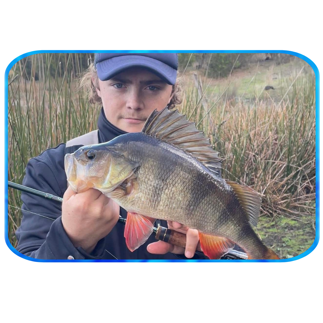 In Depth Fishing Report 24-5