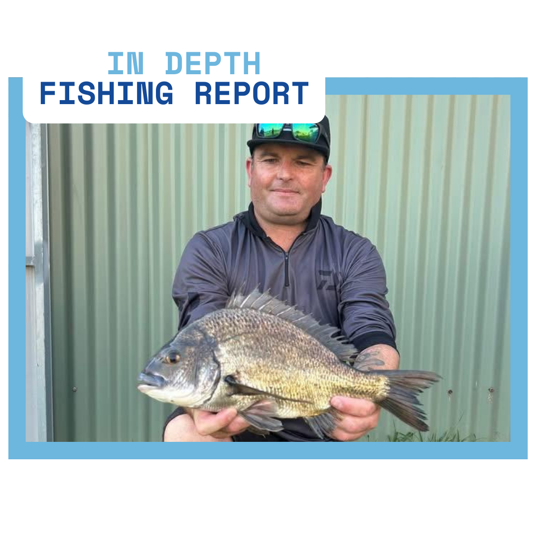 In Depth Fishing Report 22/01