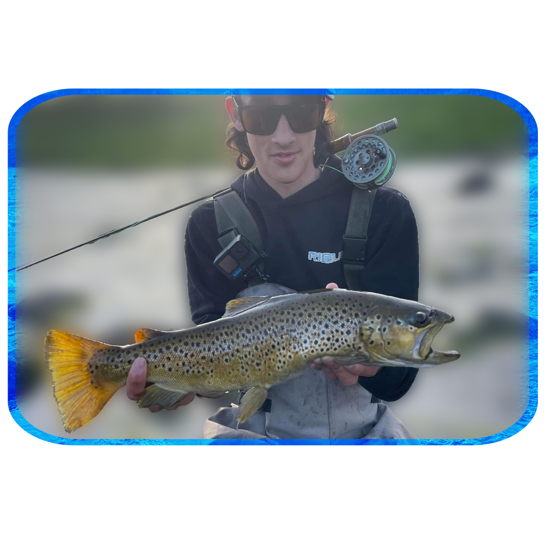 In Depth Fishing Report 27/10
