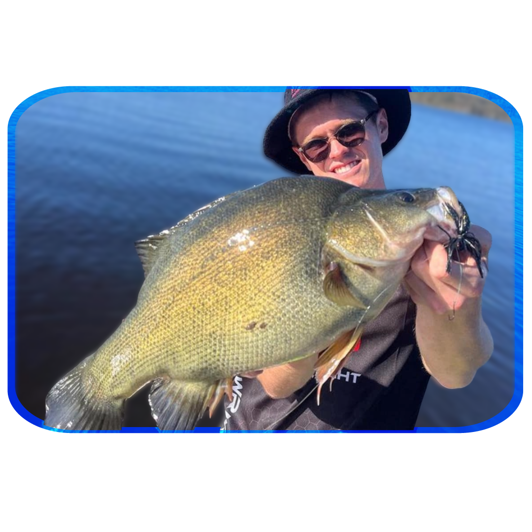 In Depth Fishing Report 30/11