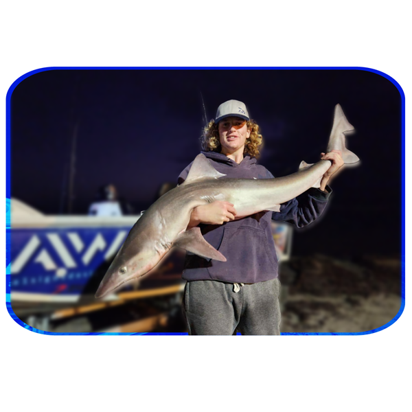 In Depth Fishing Report 19/1