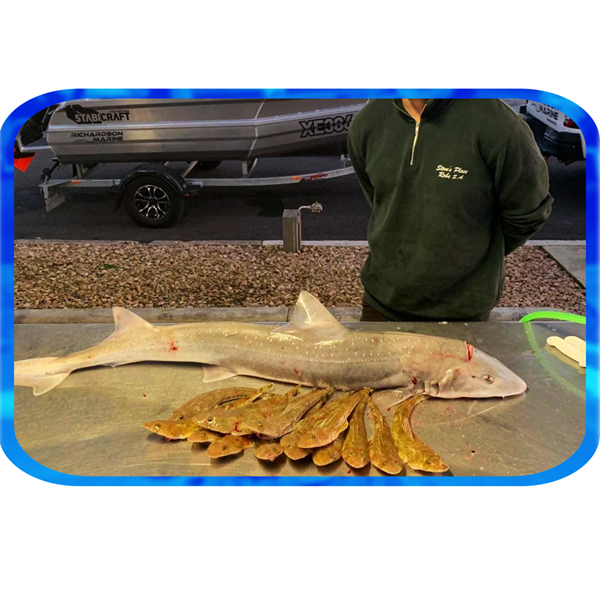 In Depth Fishing Report 7/9