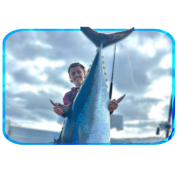 In Depth Fishing Report 17/11