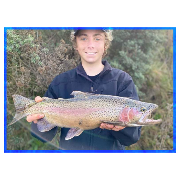 In Depth Fishing Report 19/7