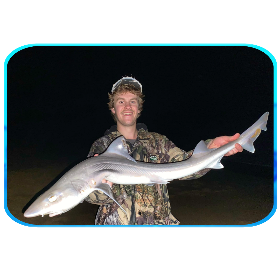 In Depth Fishing Report 17/5