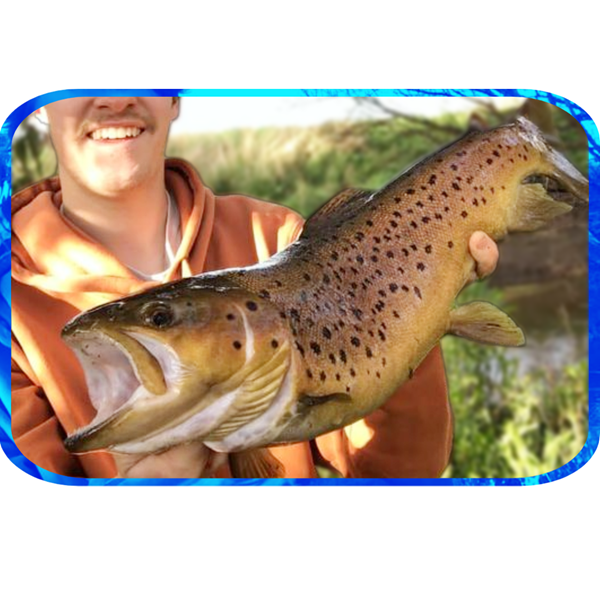 In Depth Fishing Report 11/8