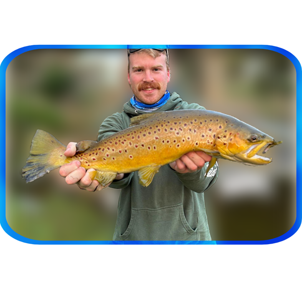 In Depth Fishing Report 28/7