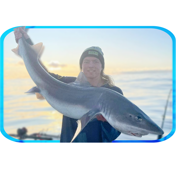 In Depth Fishing Report 17/8