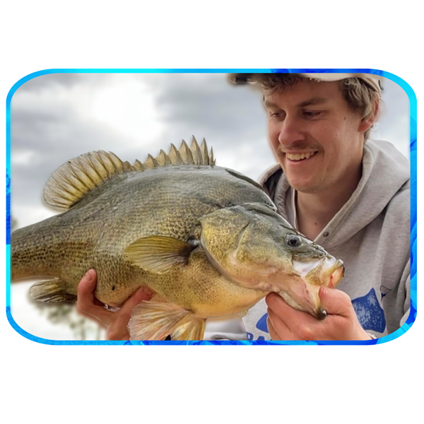 In Depth Fishing Report 15/12