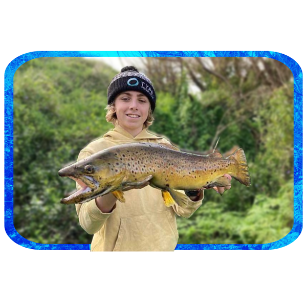 In Depth Fishing Report 24/8