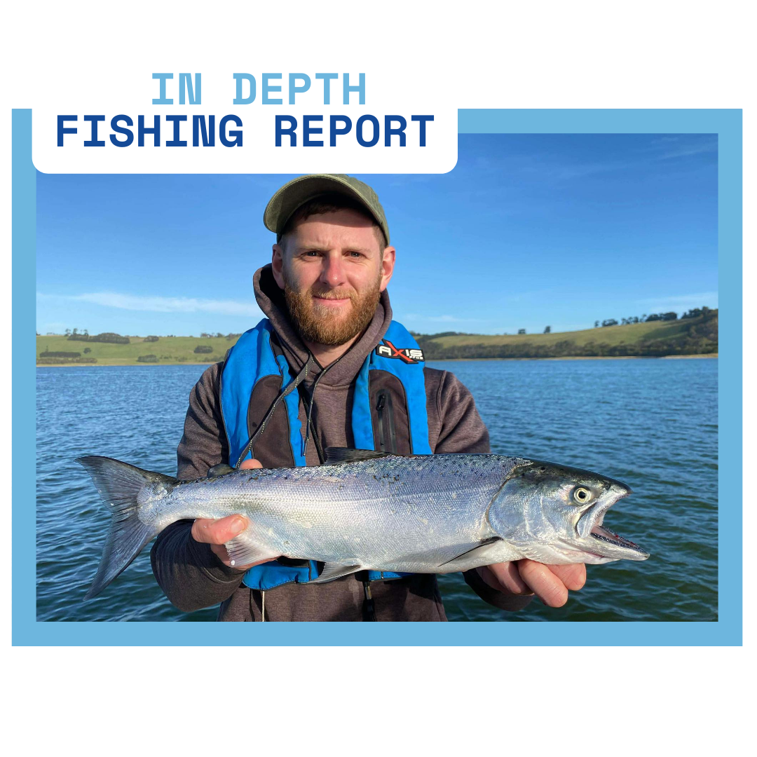 In Depth Fishing Report 12/12