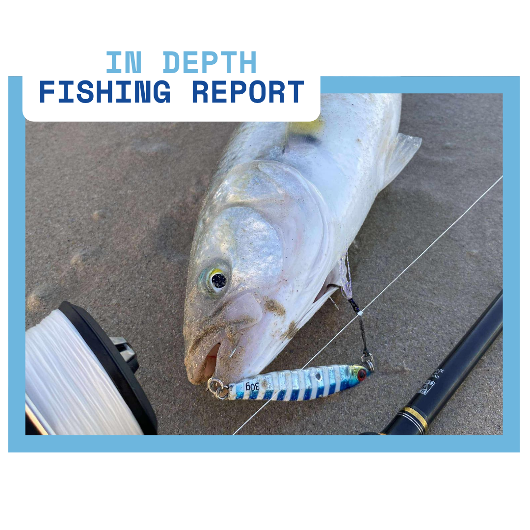 In Depth Fishing Report 11/7