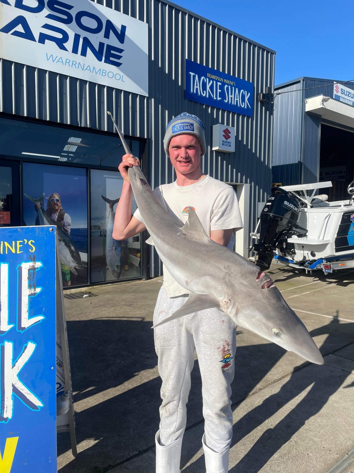 Port Fairy Shark