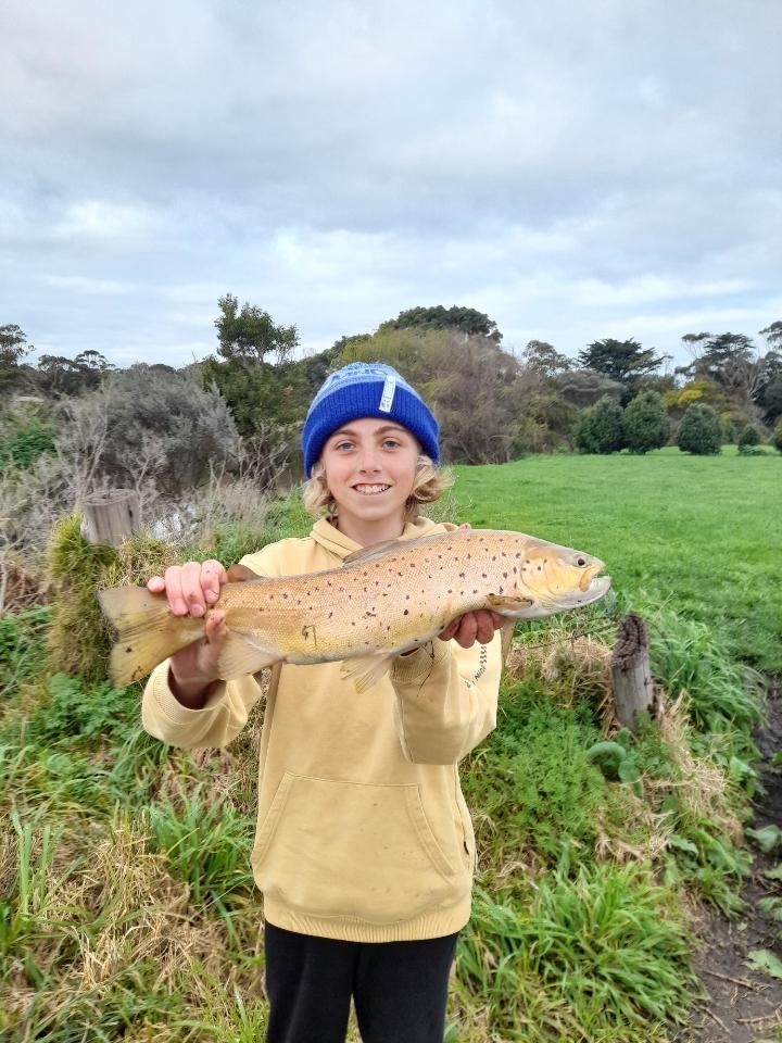 Competition Brown Trout