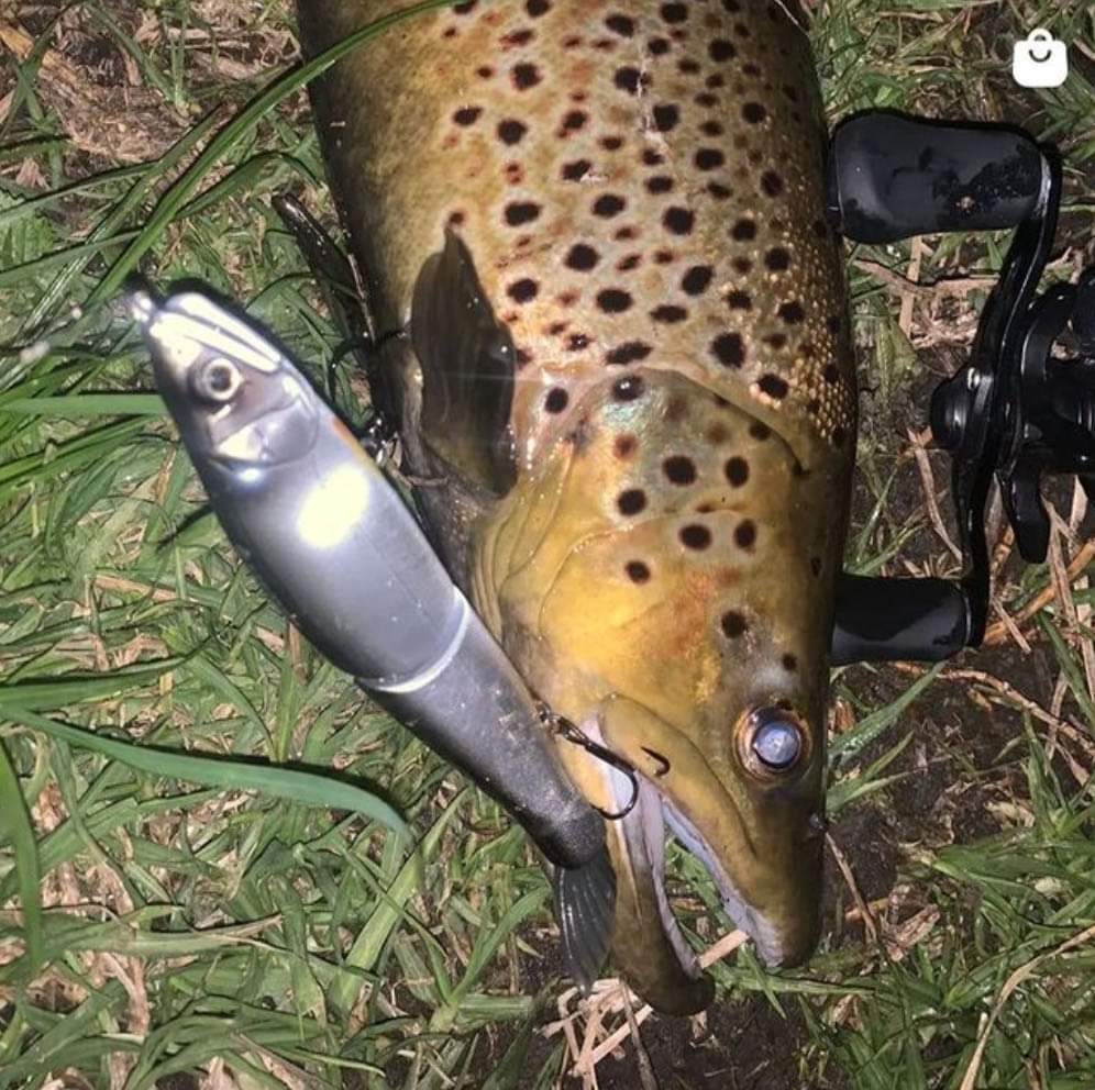 Big Bait, Big Fish!