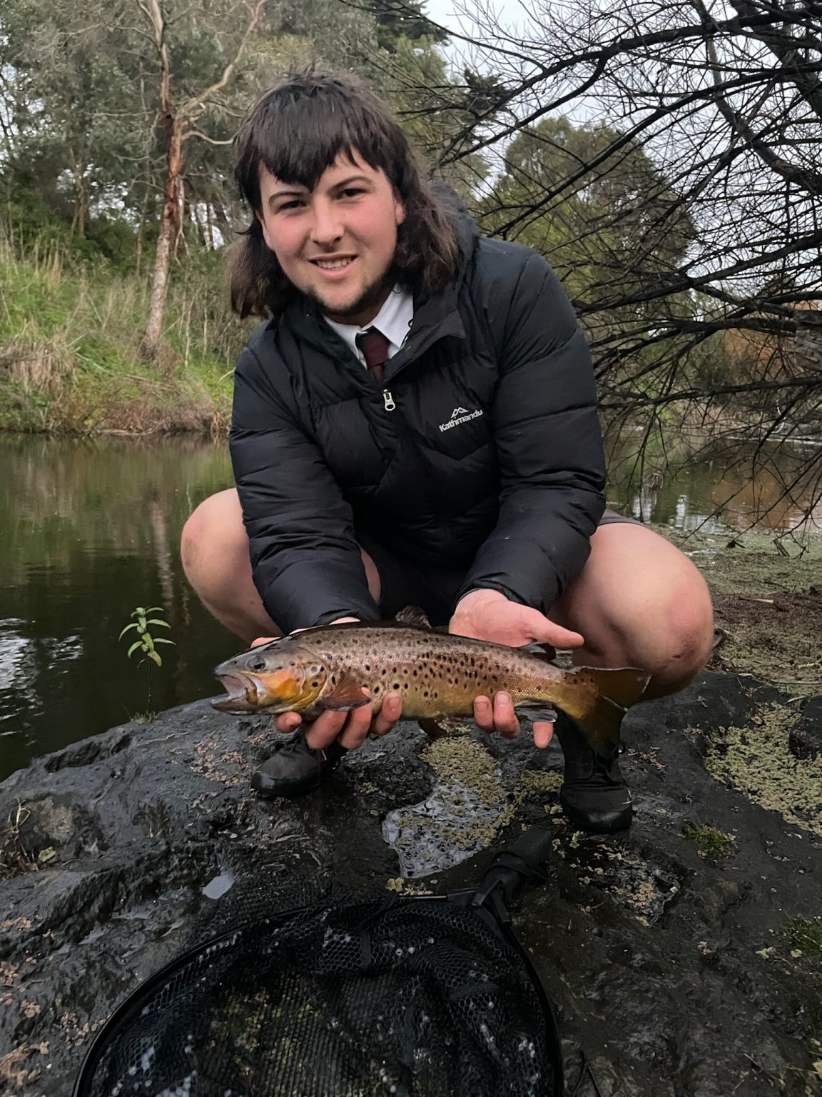 Abundant Browns