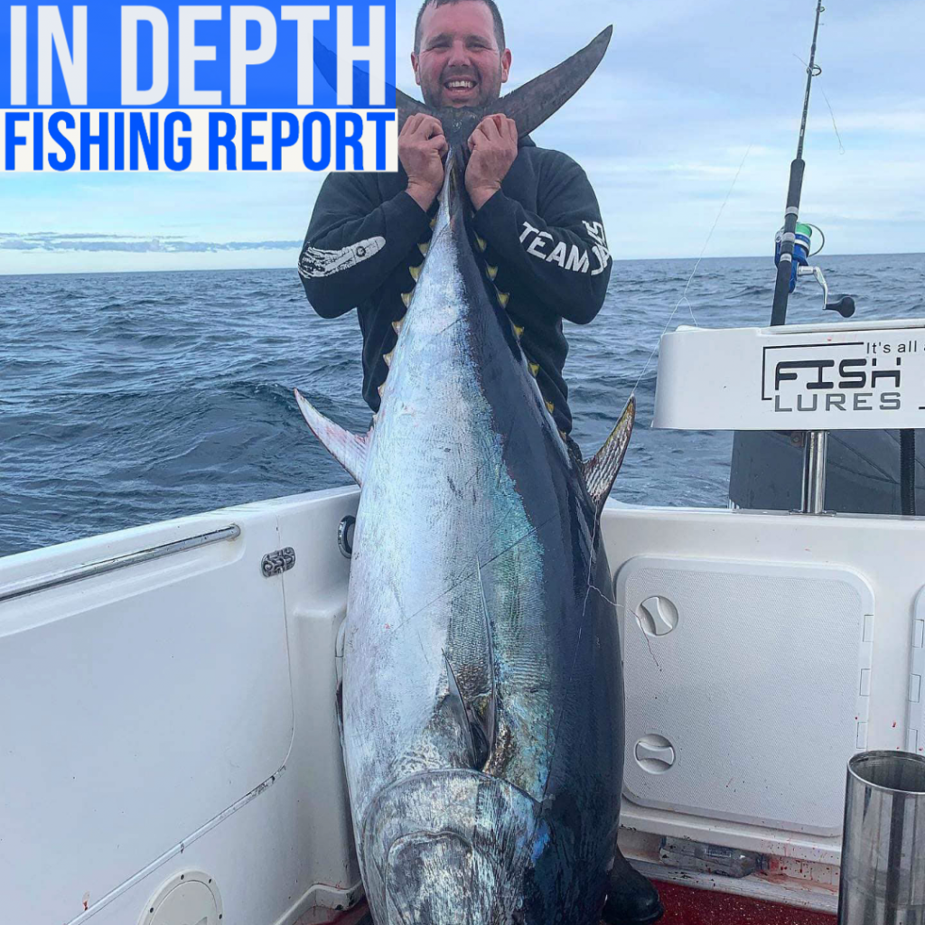In Depth Fishing Report 28/7