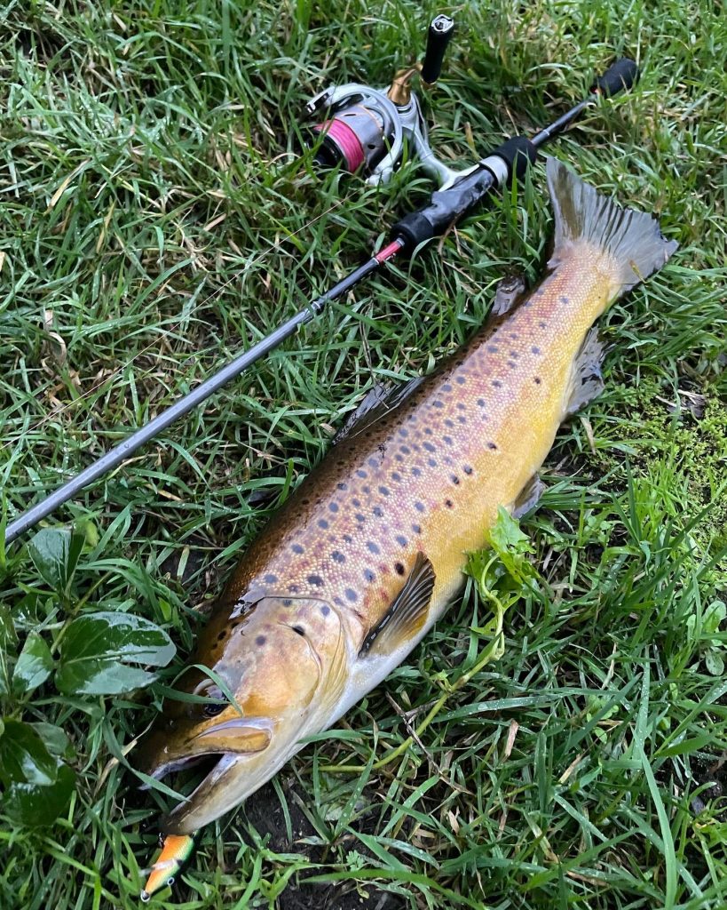 Ol’ Faithfull Rapala F7