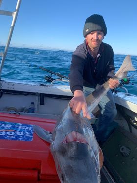 James’ Shark