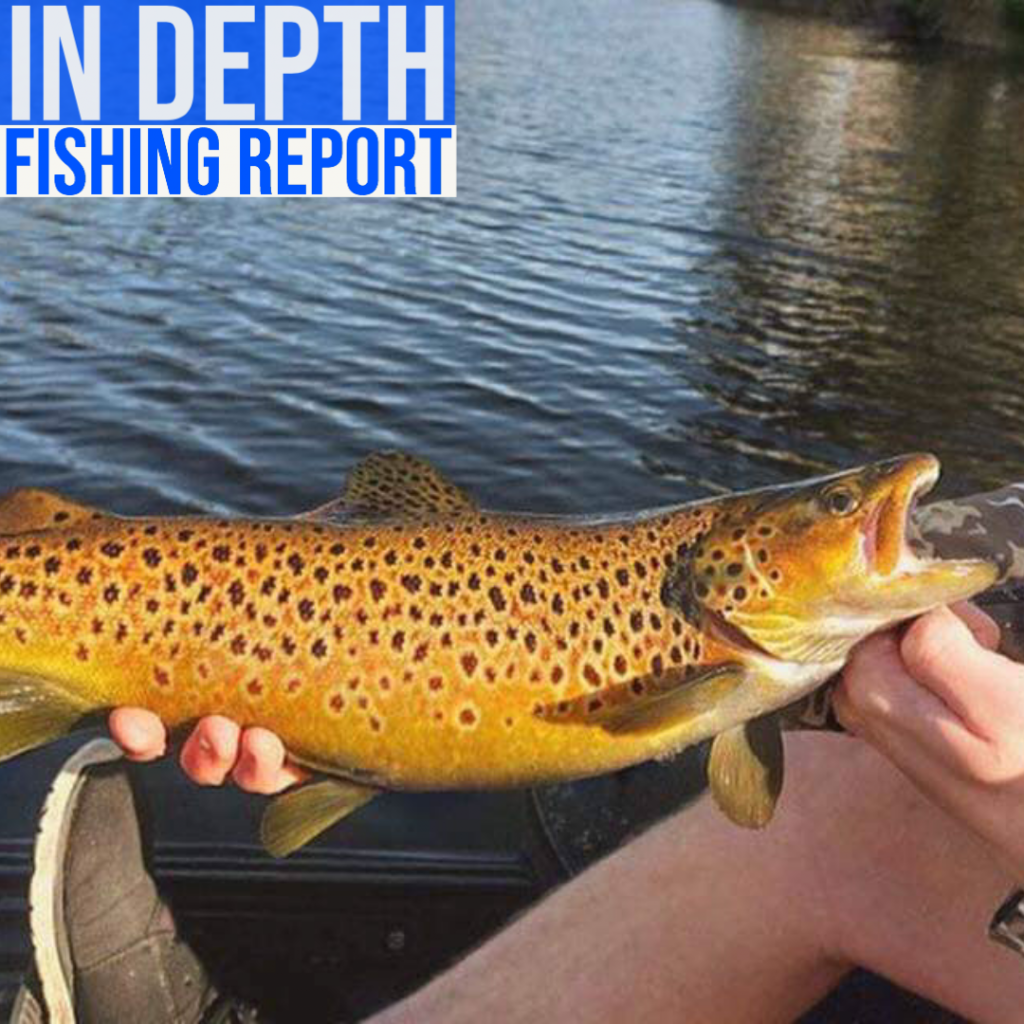 In Depth Fishing Report 14/7