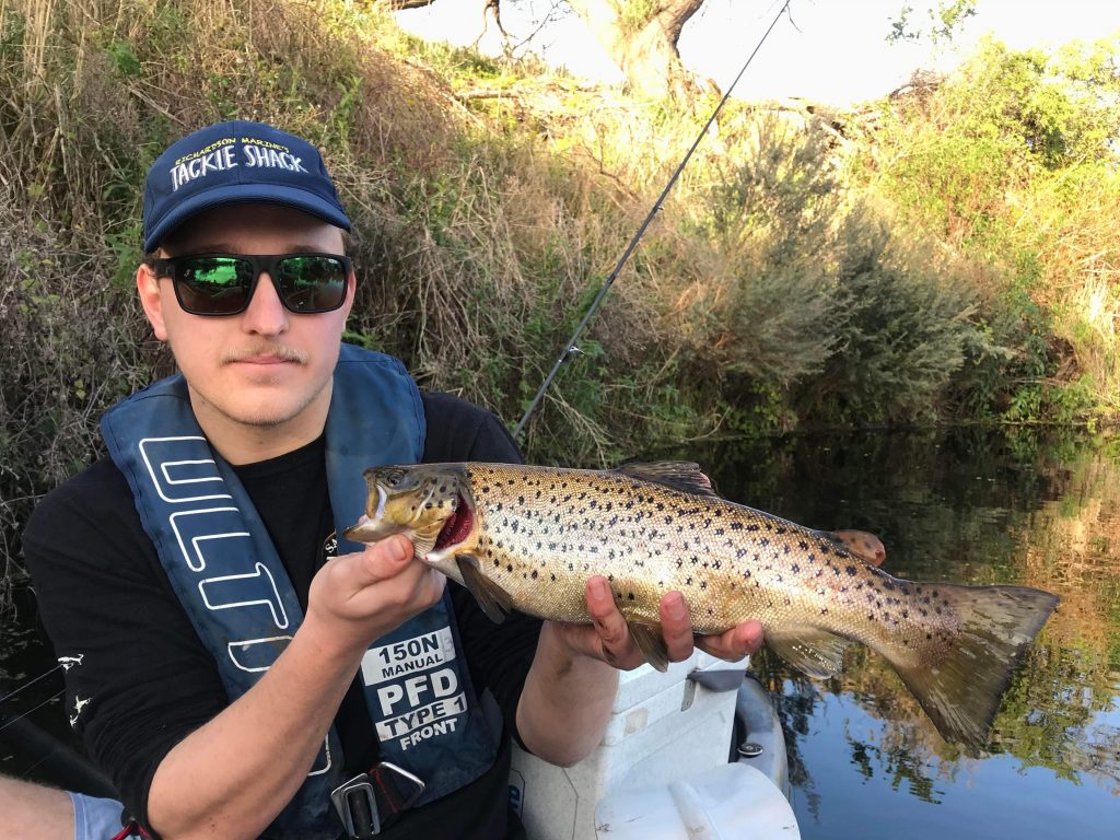 Local Browns Going Off