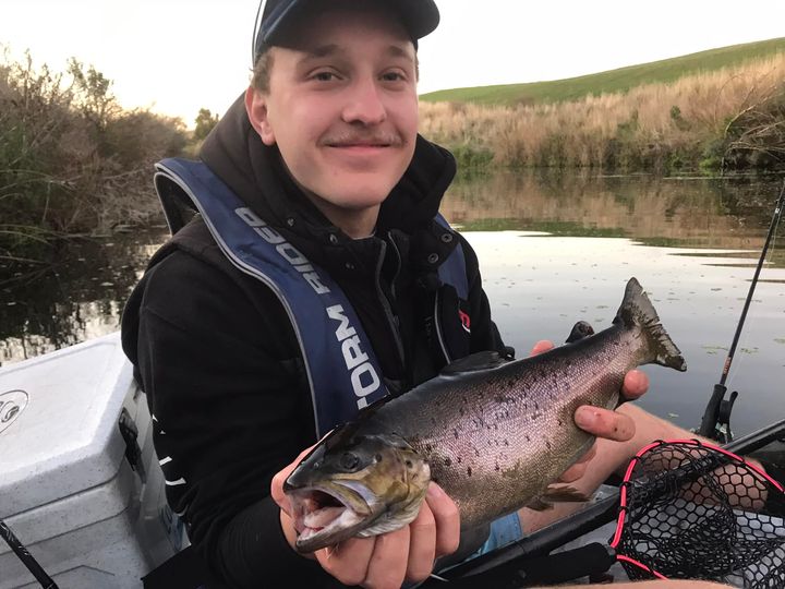 Trollin’ Trout