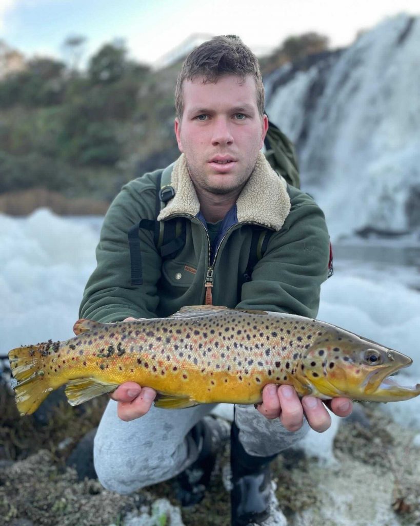 Hopkins Falls Brown