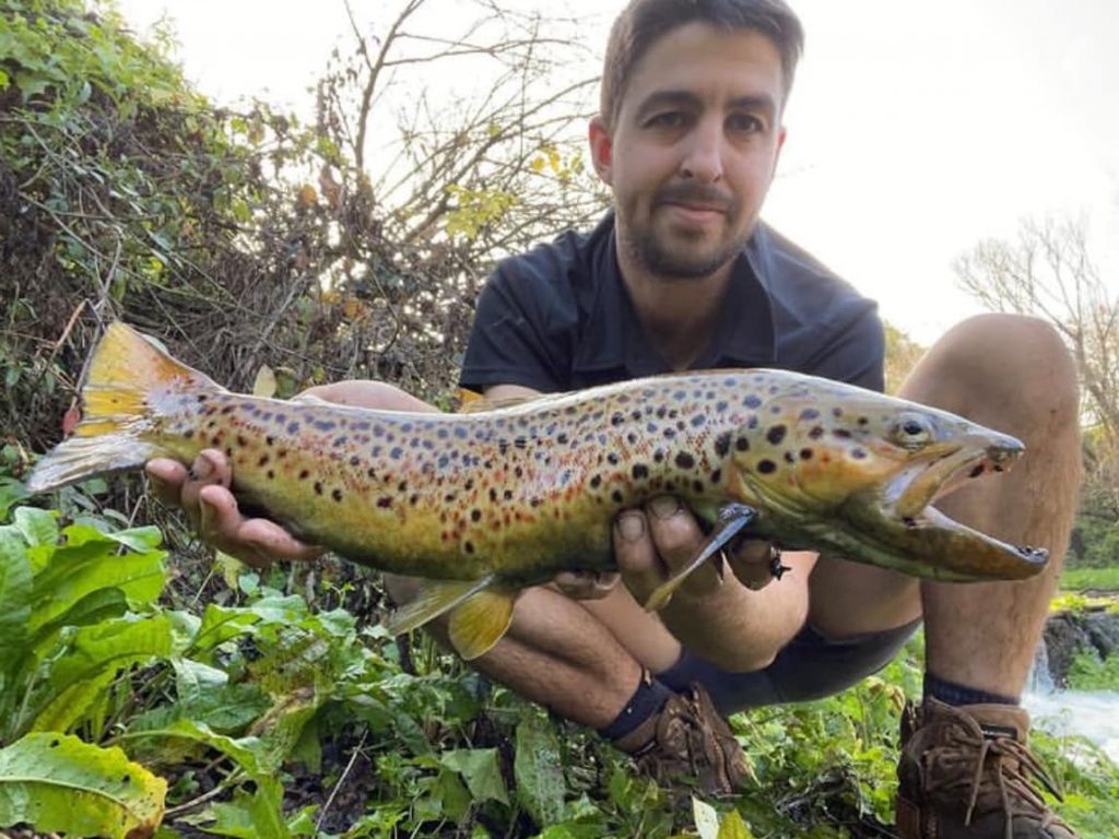 Alex’s Brown
