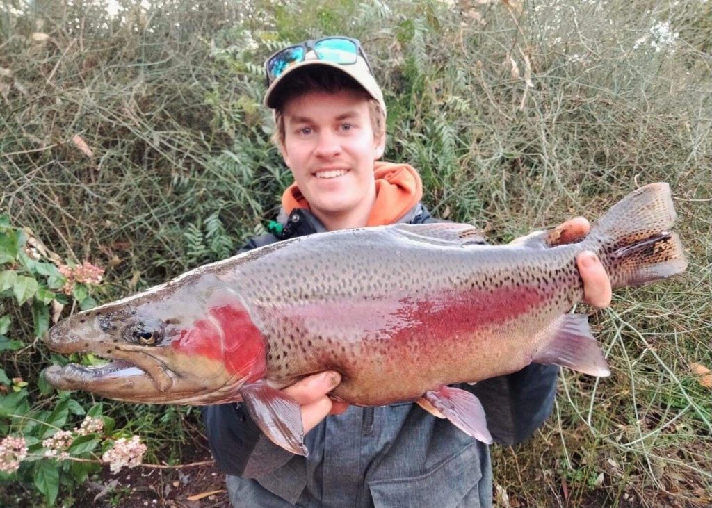 Big Winter Bow!
