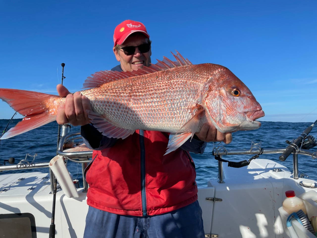 Snapper are GO!!