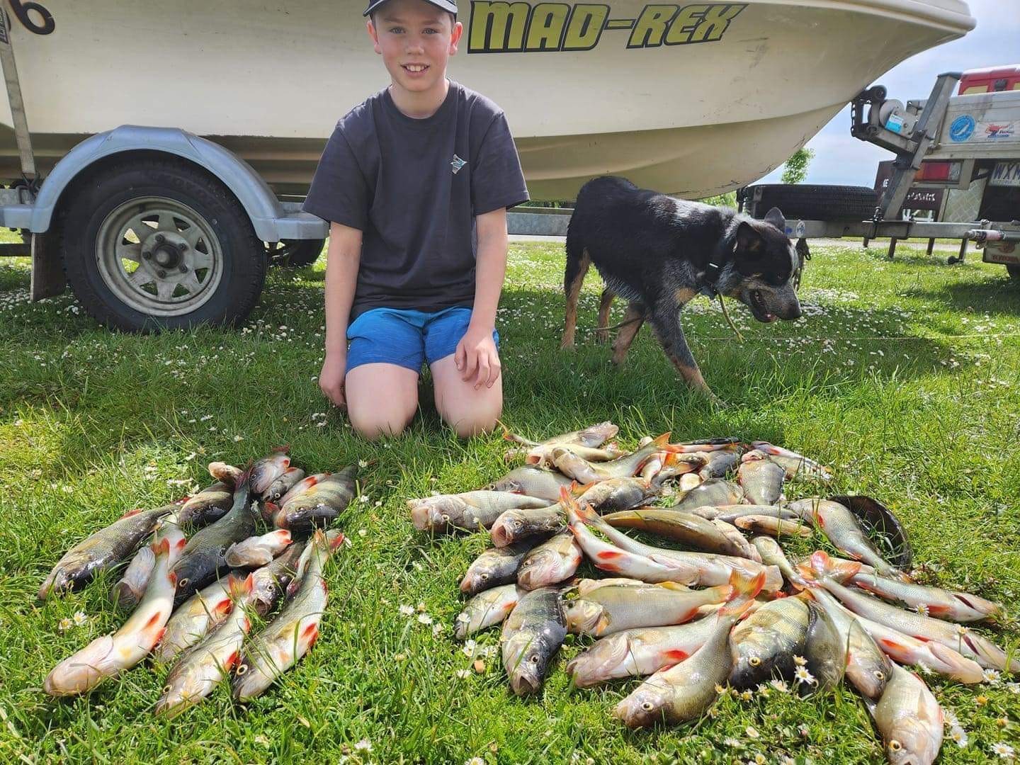Huge redfin bag