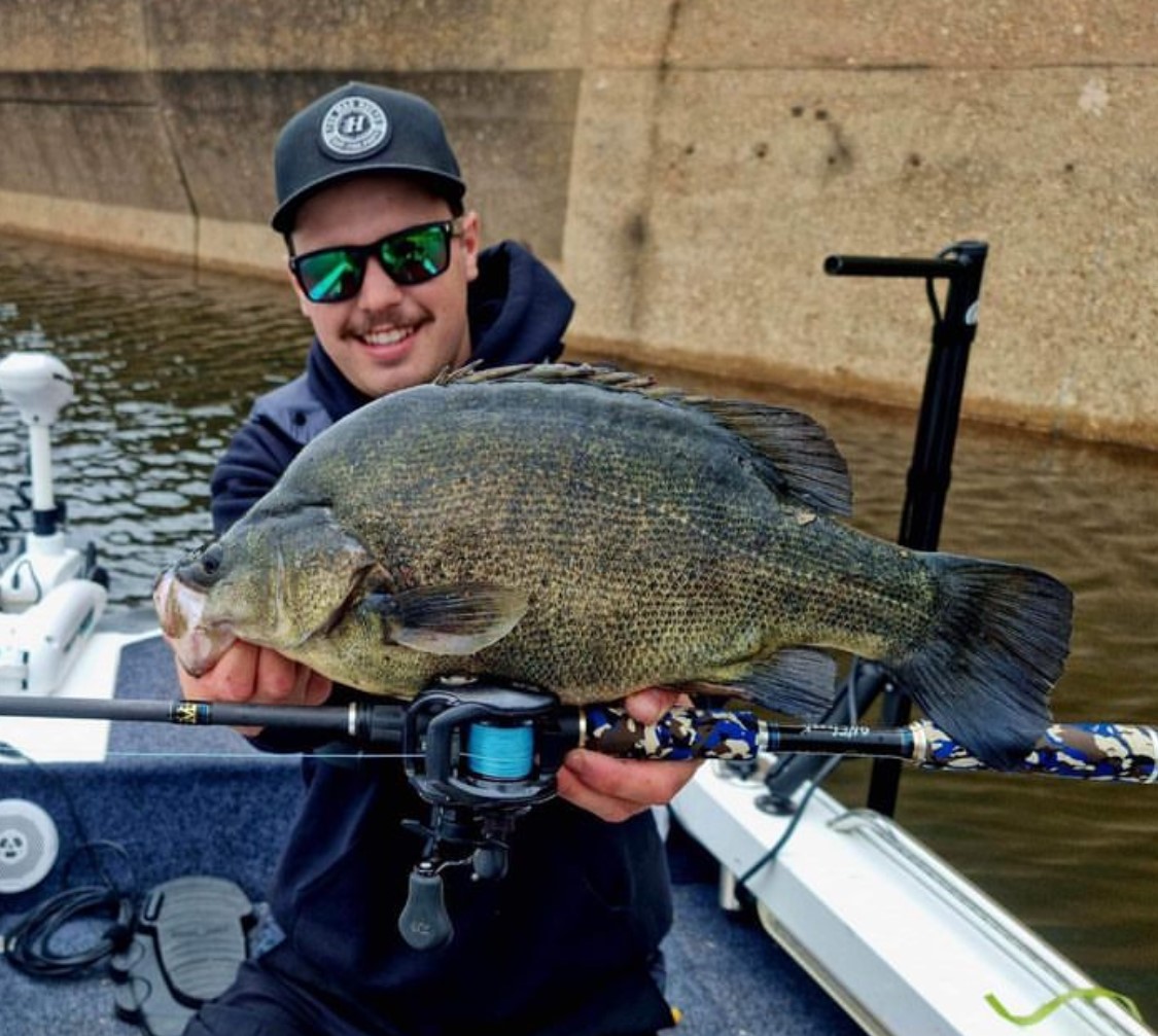 Rocklands Golden Perch