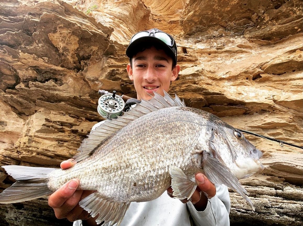 Big bream on fly