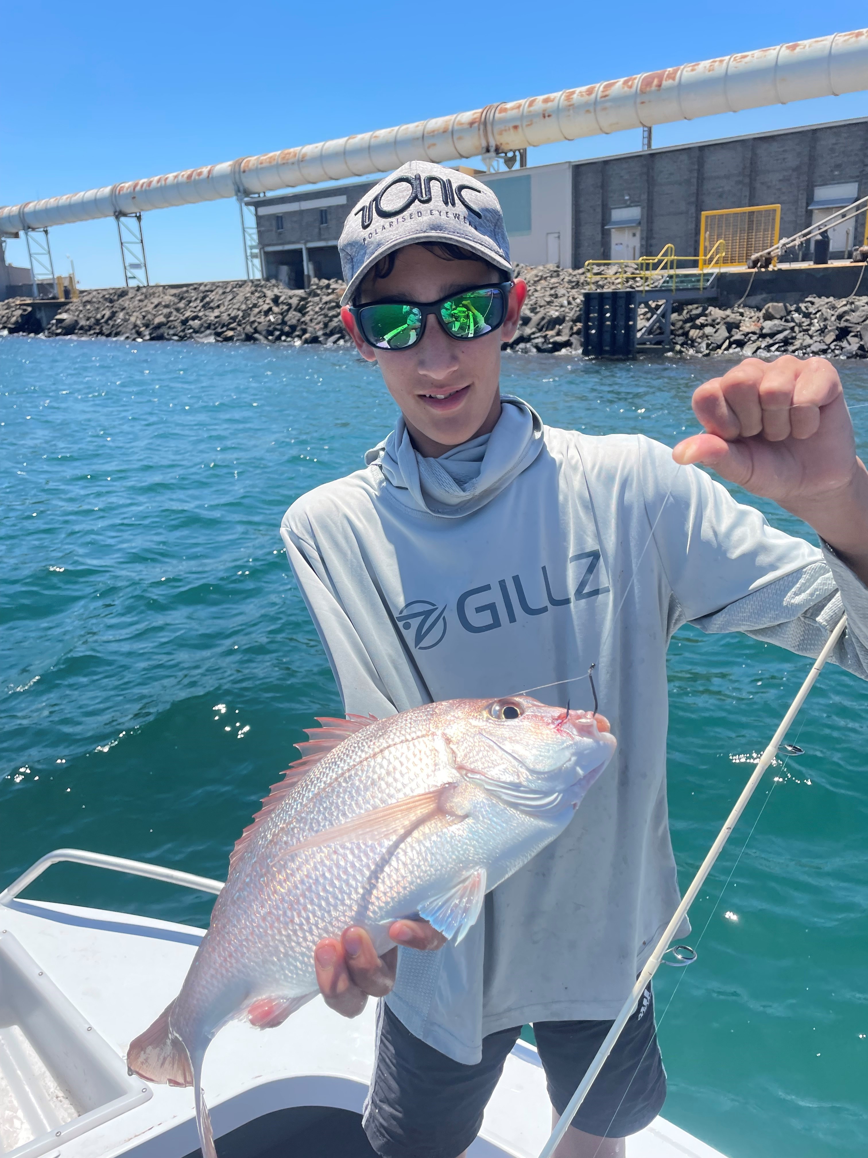 Portland Harbour Pinkies