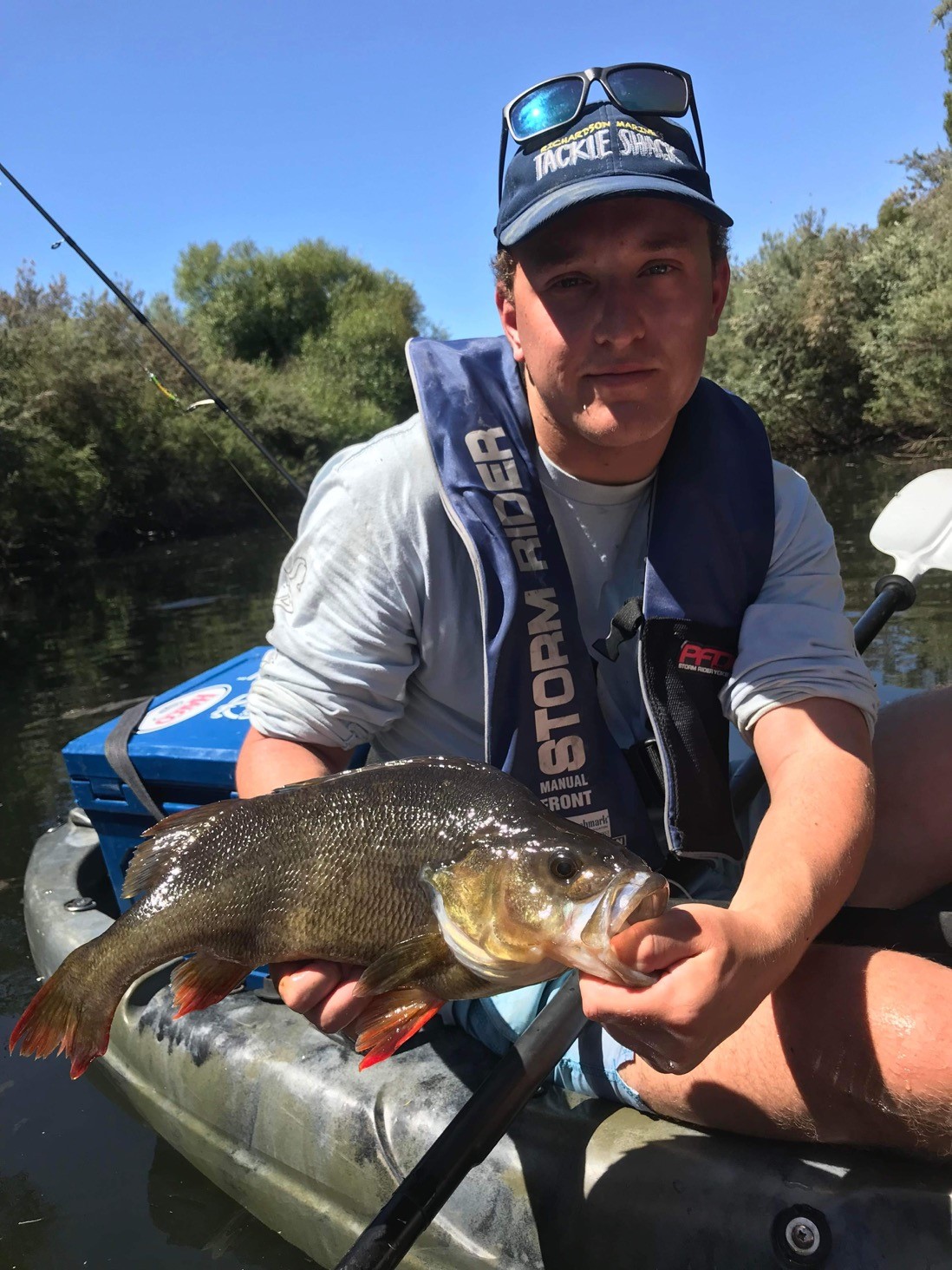 Local Reddies