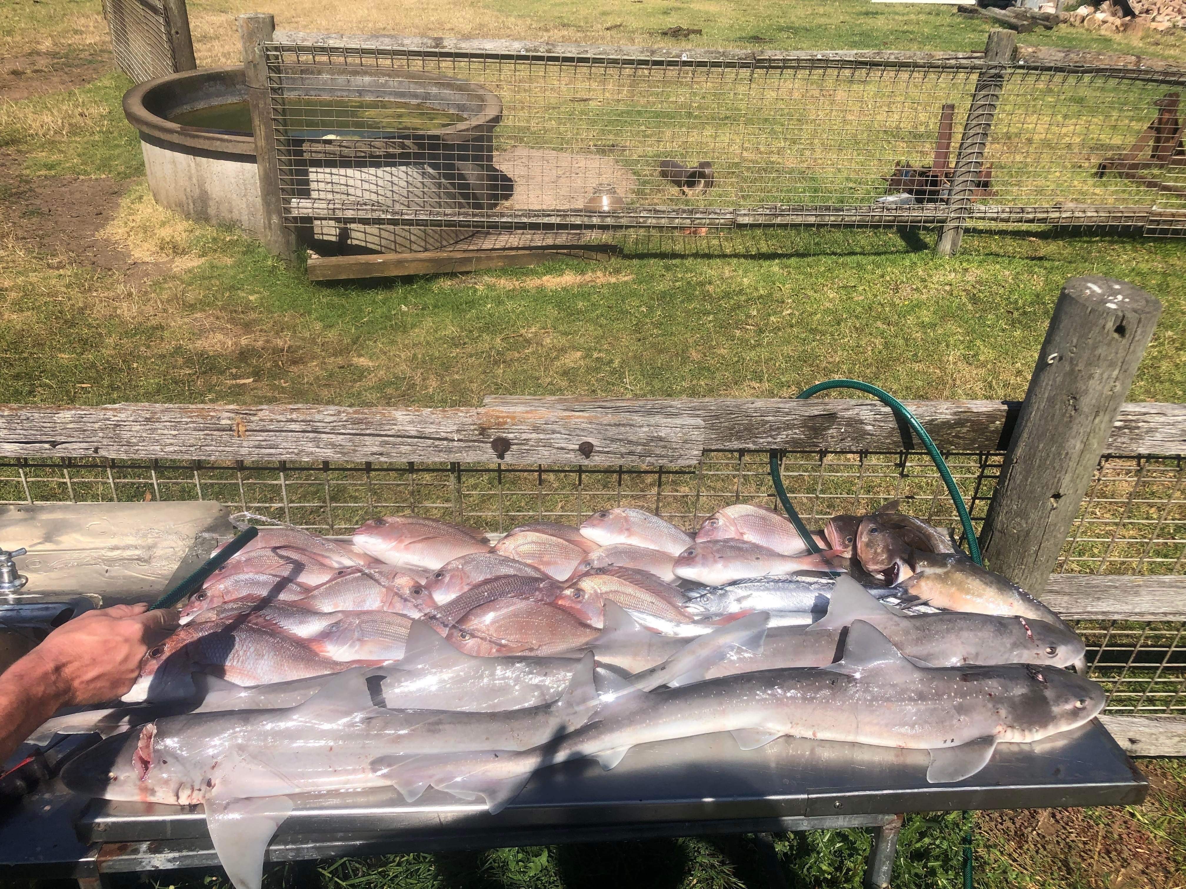 Mixed bag off Warrnambool