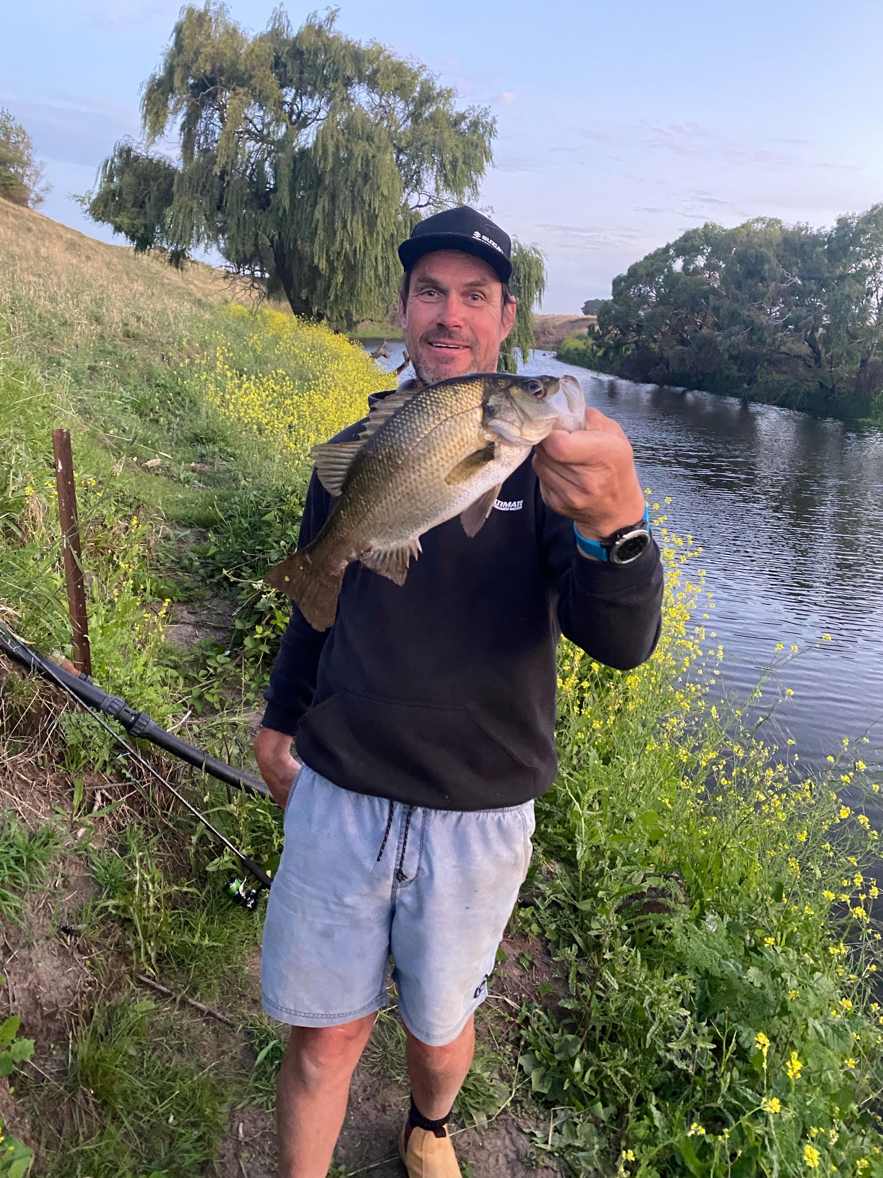 Topwater perch'n
