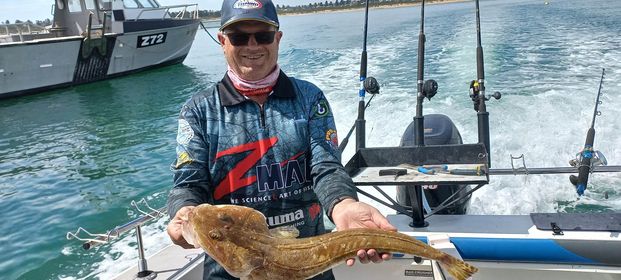 Solid Flathead