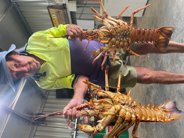 Charlies first Crays