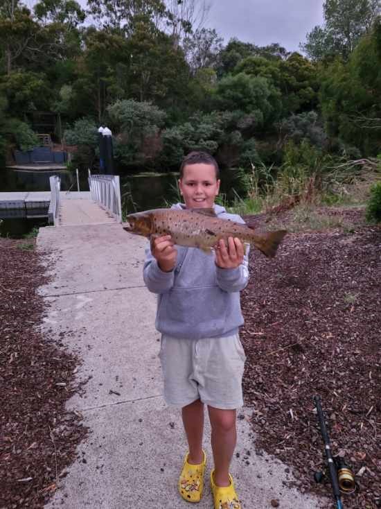 Trout on chicken