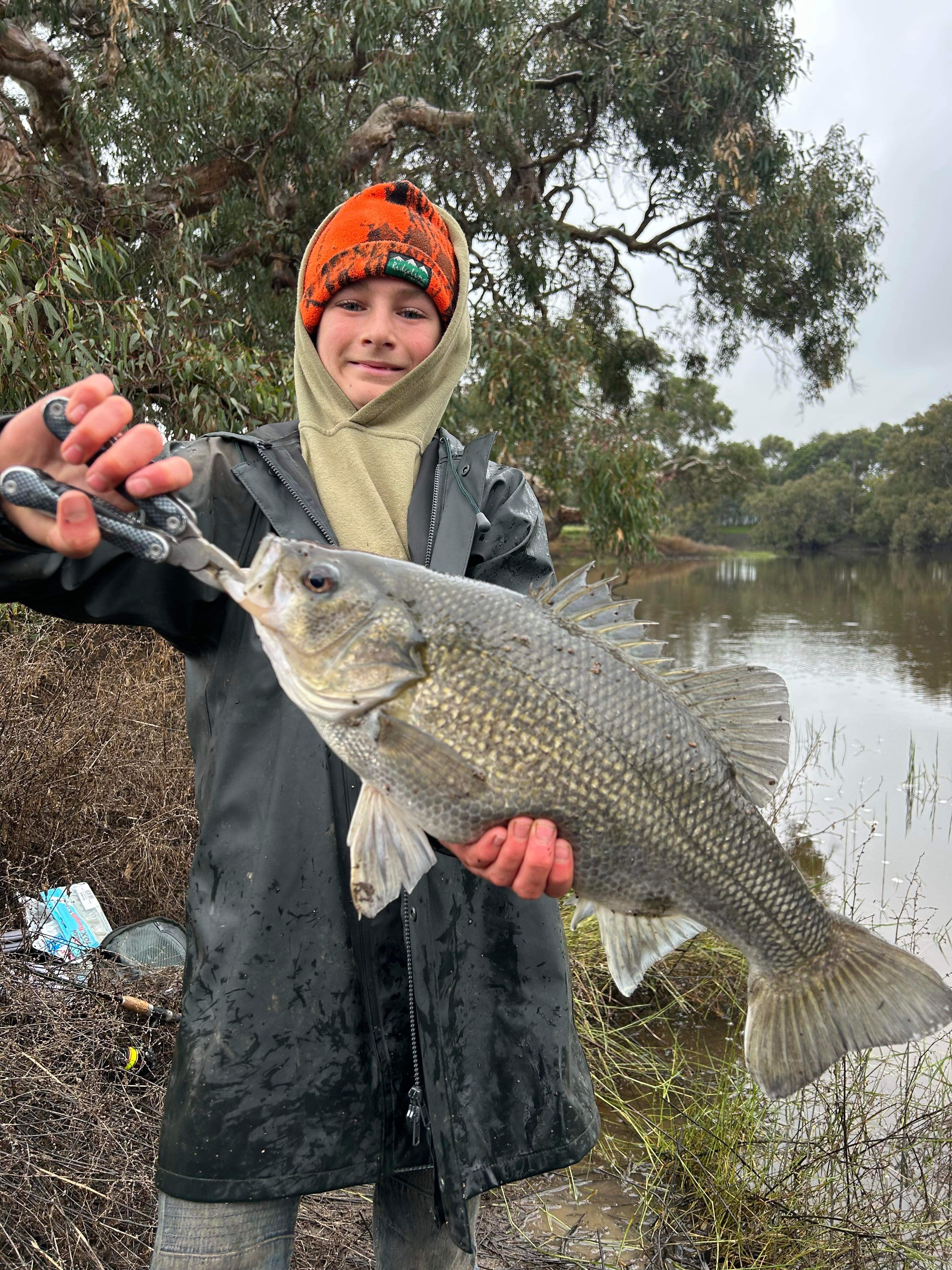 Big Old Bass