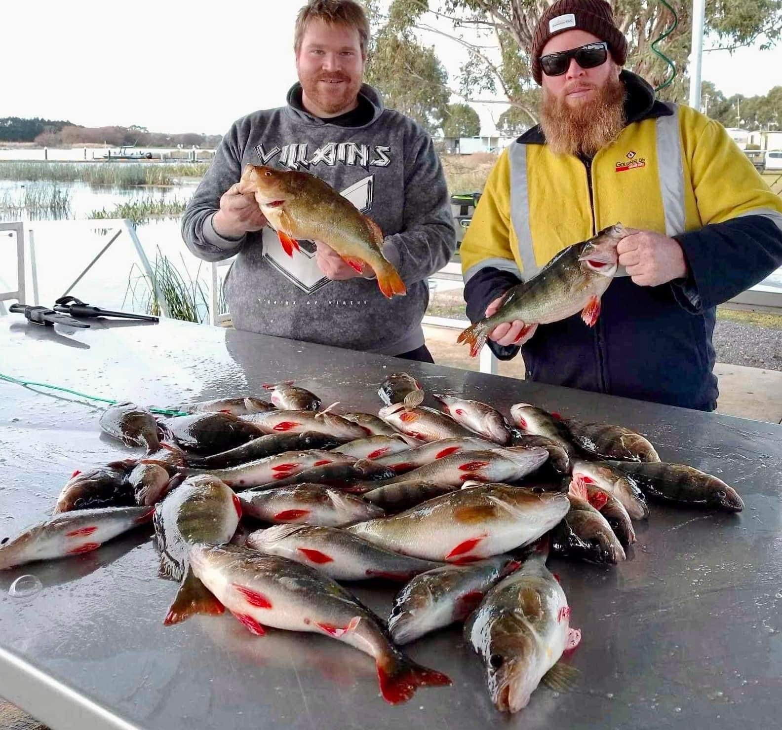 Purrumbete Reddies