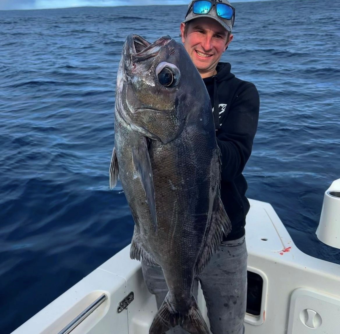 Blue eye feast