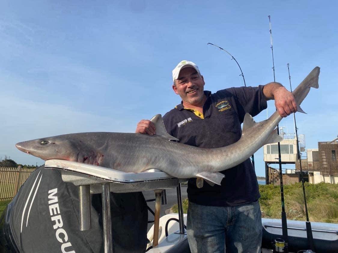 New Pb Gumbo