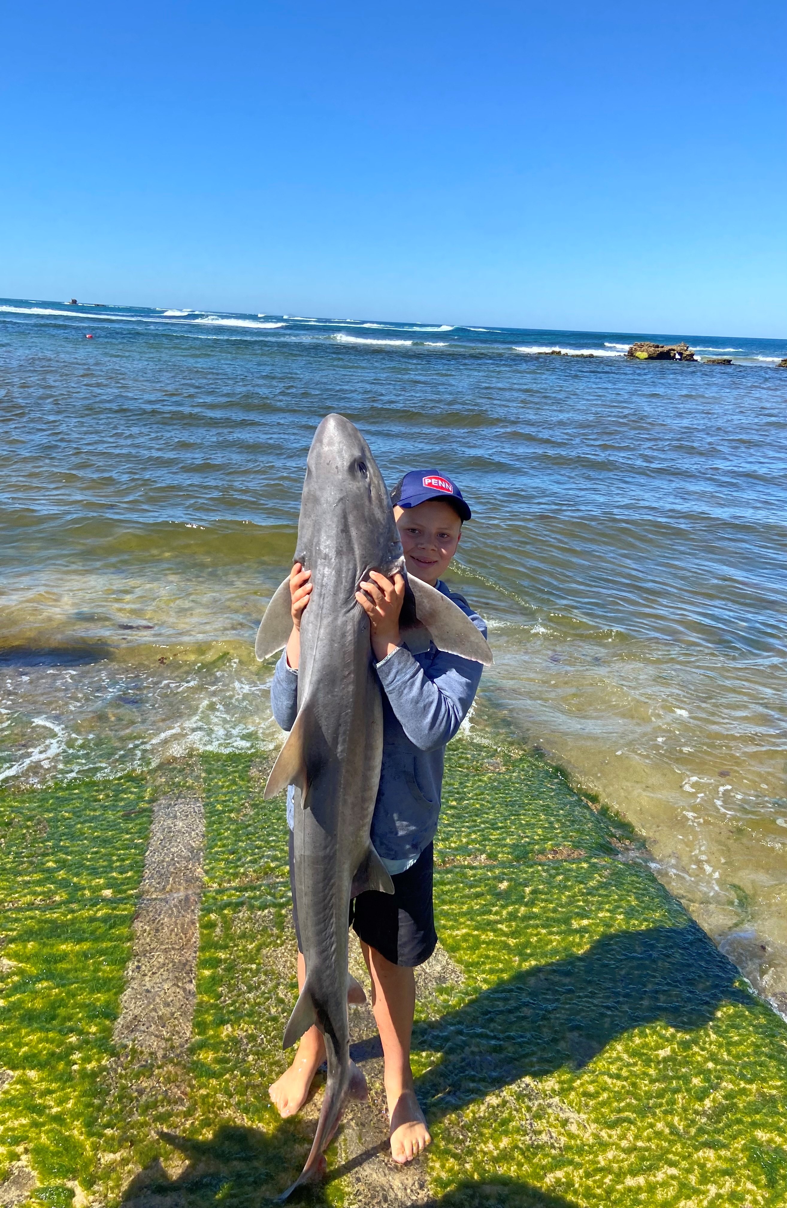 Shark Personal Best