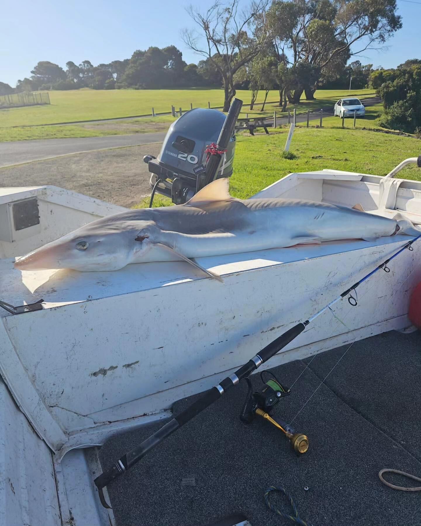 Tiny boat big schoolie