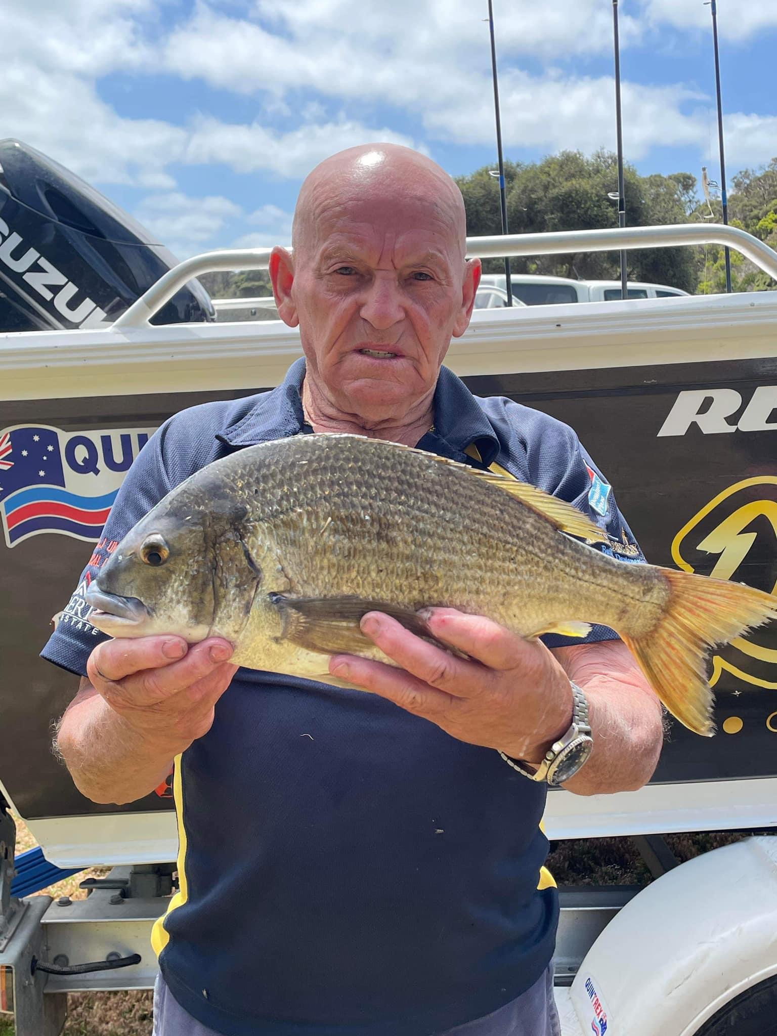 Glenelg Bream