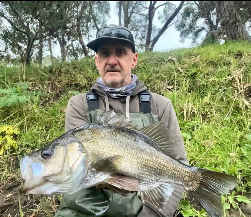Perch for Michael