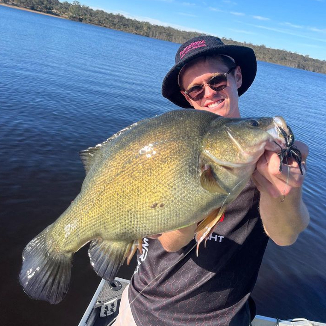 Rocklands Yellowbelly