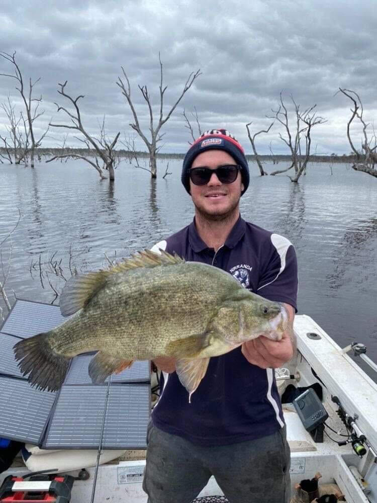 Rocklands Yella for Plugger